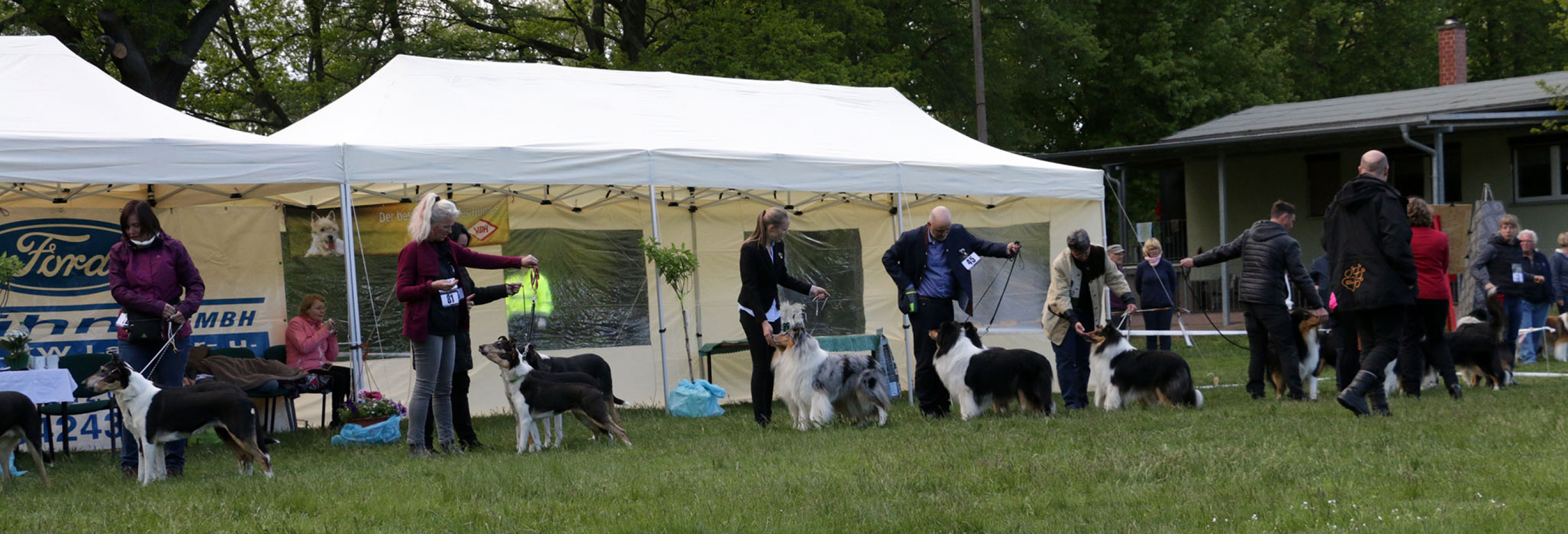 17.05.2026 -  Ausschreibung 9. Sachsen Winner Show 